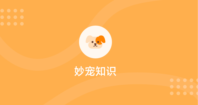 秒宠知识 